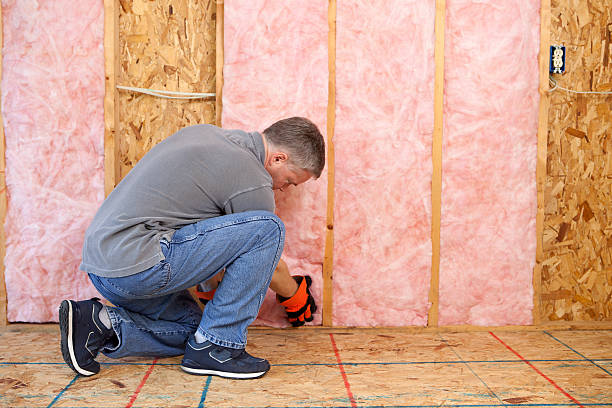 Best Insulation Installation Services in Blackwater, AZ
